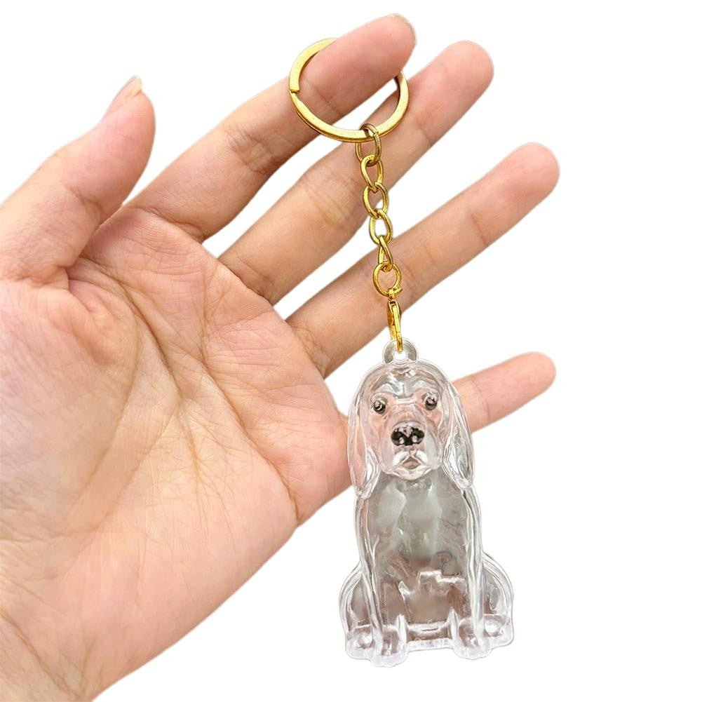 Dog Hair Collection Pendant Hair Storage Box Charm Pet Cute Keychains Clear Plastic Pet Hair Capsule Souvenirs DIY Gifts