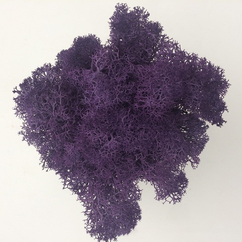 200/1000g Quality Artificial Green Plant Eternal Life Moss Fake Flower Moss Grass Home Living Decorative Wall DIY Micro Landscap
