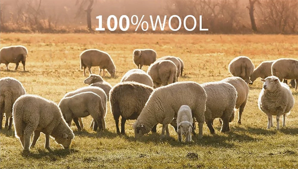 Pure Wool Beanies Knitted Cap Women Men Knitted Hat Casual Bonnets Soild Colour Autumn Winter