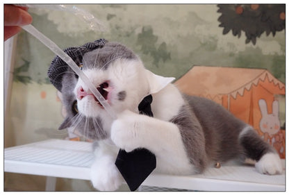 Chapéu Engraçado Para Gatos de Estimação, Boina, Gravata Borboleta, Fantasia de Banho, Gângster Bonito, Adereço de Foto, Fantasia de Halloween Para Animais de Estimação