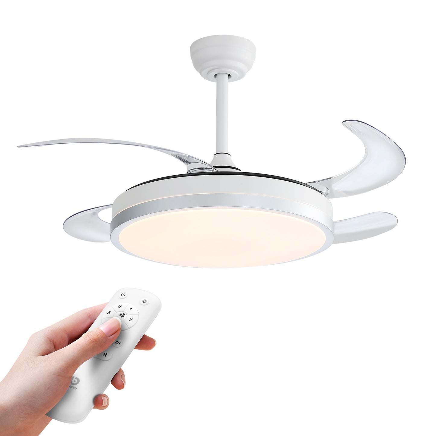Ceiling Fan Lamp, Ceiling Fan With Led, Ceiling Fan Lamp, Ceiling Lamp, From Brazil
