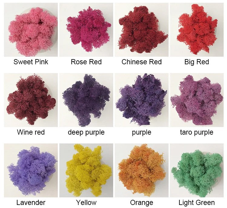 200/1000g Quality Artificial Green Plant Eternal Life Moss Fake Flower Moss Grass Home Living Decorative Wall DIY Micro Landscap