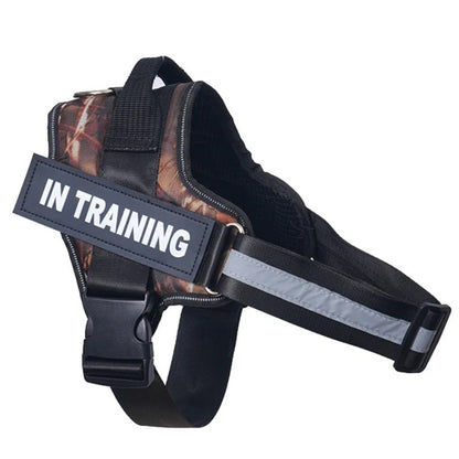 Coleira Personalizada para Cães Colete Reflexivo Ajustável Sem Puxar para Cães de Pequeno Médio Grande Porte, Atacado