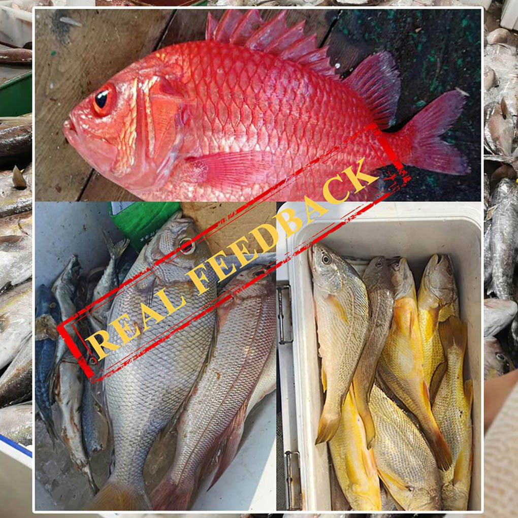 1 Saco De Lagartas Secas Isca De Pesca Ecológica Portátil Comida Sedutora Para Animais Aquáticos Uso Como Atração 10g