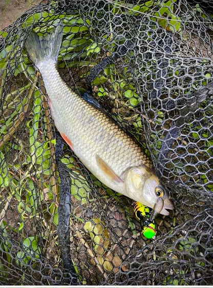 Kingdom Wasp Crawl Bait 4.2g 40mm 6.6g 48mm Iscas flutuantes biônicas de inseto artificiais de superfície para pesca de robalo, carpa e lúcio