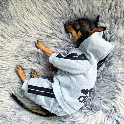 Roupas para animais de estimação Macacão para cães filhotes de buldogue francês Chihuahua Pug Roupas para cães pequenos e médios Roupinhas para filhotes