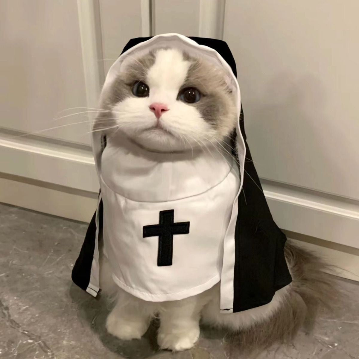 Festa do Gato Fofo Vestir Gatinho Jesus Roupas Para Cães Pequenos e Médios Gatos Engraçados Fantasias de Cosplay de Gato Acessório Para Filhotes de Cachorro de Estimação