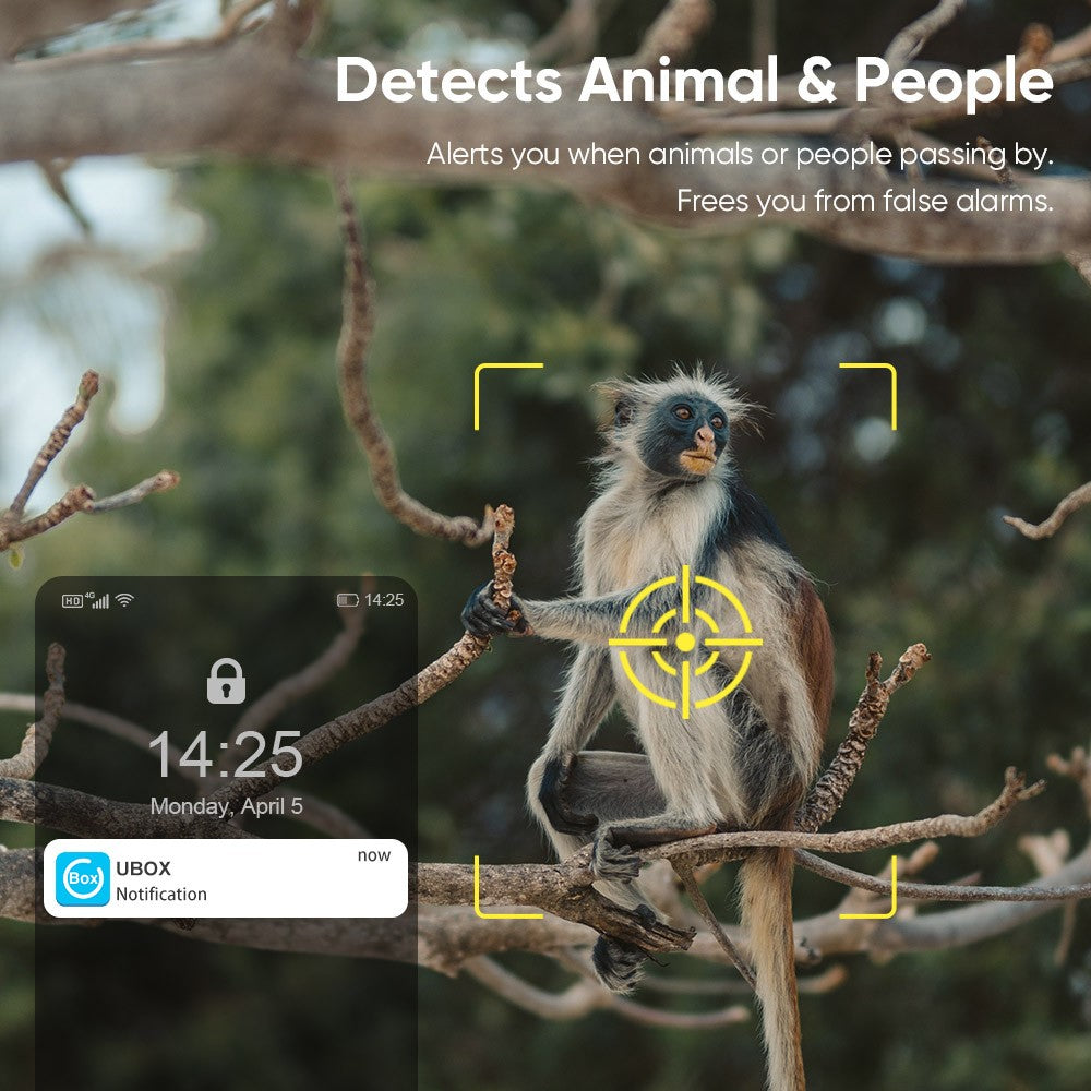 LS VISION 4G /WFII Solar Security Cameras Wireless Outdoor  2K HD Video Surveillance Color Night Vision Human/Animal Detection