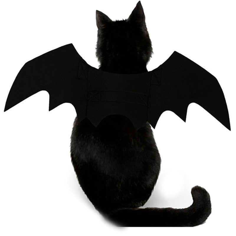 Atacado Fantasia de Cosplay de Gato Fofo Asas de Morcego Cinto de Segurança Role Playing Pet Gato Cachorro Decoração de Festa de Halloween Suprimentos