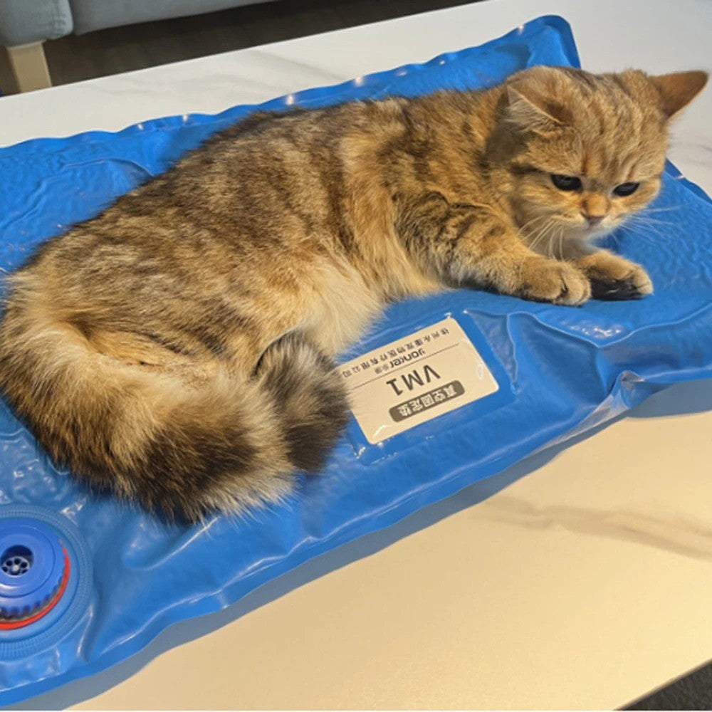 Acessórios Cirúrgicos para Animais Tapete de Posicionamento para Vácuo para Pets Pequeno Protetor para Exame Veterinário Sala de Cuidados para Pets