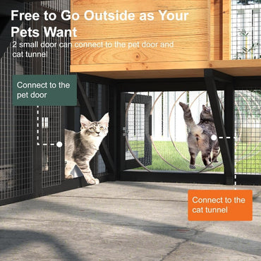 Grande Recinto Externo para Gatos Múltiplos com Acesso de Entrada Cobertura Impermeável e Teto Refletor de Luz Solar, Características 7 Plat
