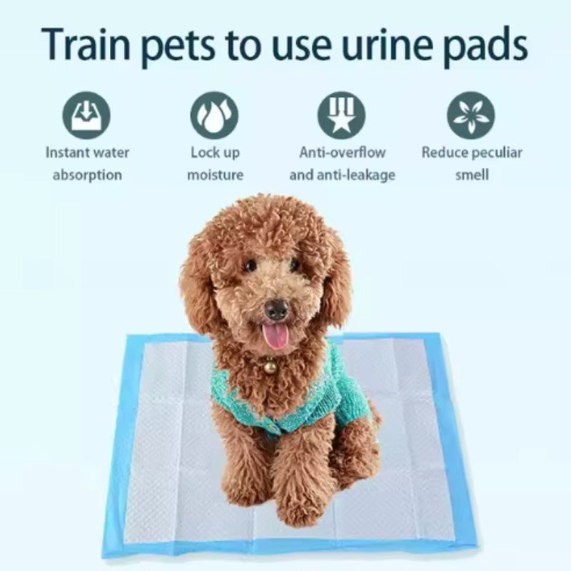 Tapetes Higiênicos Espessos Absorventes para Cães Filhotes à Prova de Vazamento Secagem Rápida Tapete de Urina Descartável
