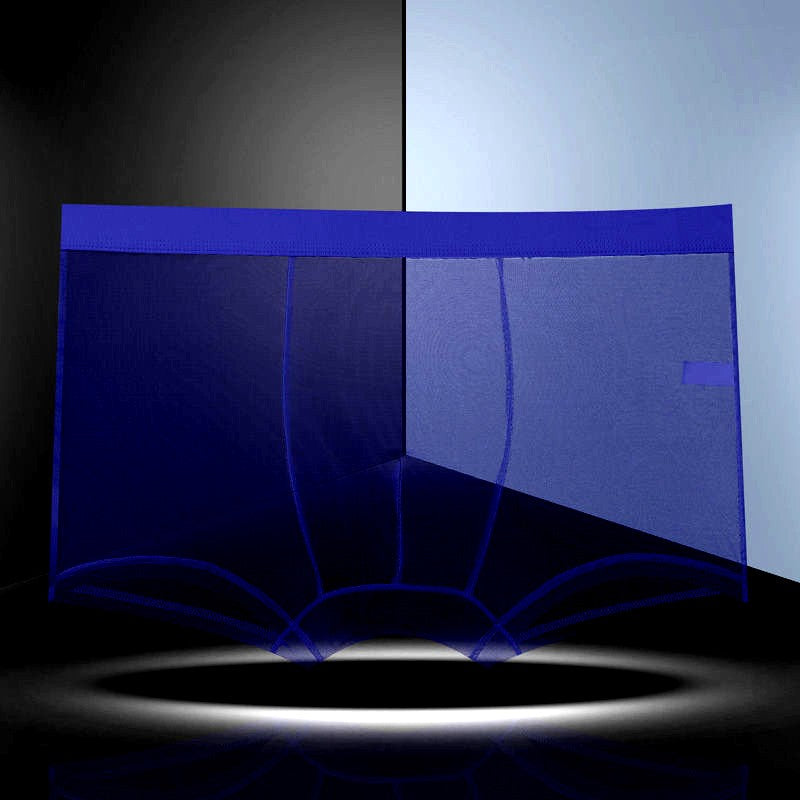 Men Transparent Boxers Bulge Ice Silk See Through Underpants Sexy Mid Waist Panties Lingerie Intimates