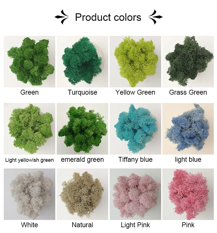 200/1000g Quality Artificial Green Plant Eternal Life Moss Fake Flower Moss Grass Home Living Decorative Wall DIY Micro Landscap