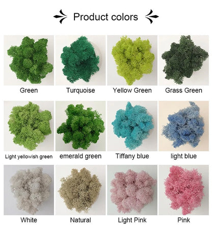 200/1000g Quality Artificial Green Plant Eternal Life Moss Fake Flower Moss Grass Home Living Decorative Wall DIY Micro Landscap