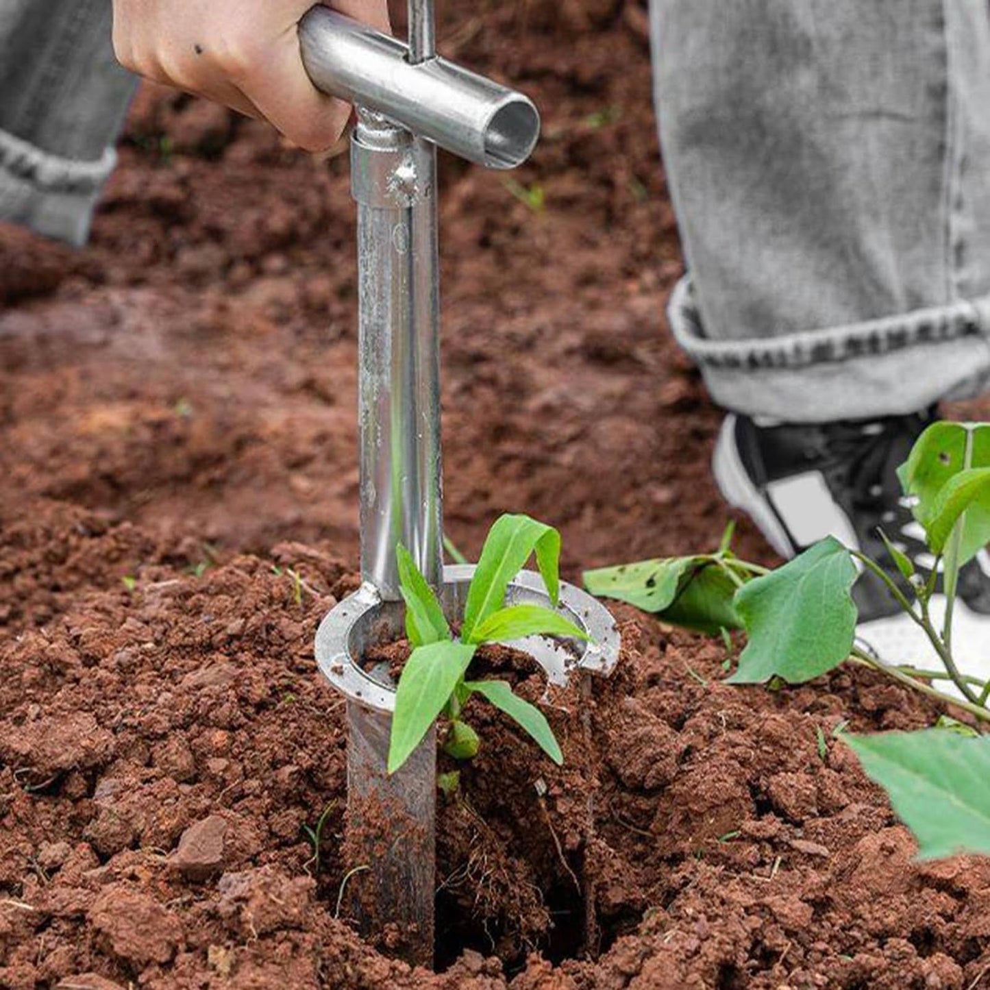 1Pc Seedling Transplanter Stainless Steel Seeds For Plants And Fruit Trees Are Convenient For Transplanting Gardening Tools