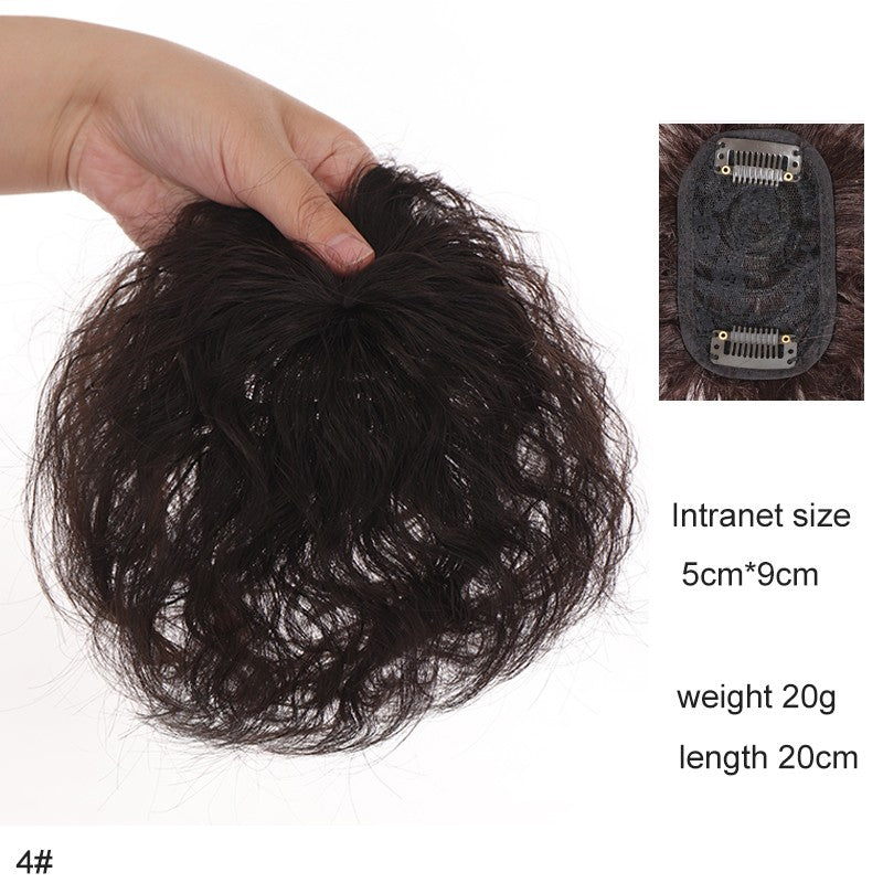 H&STAR Aplique Sintético com Presilha de 8 Polegadas para Mulheres com Cabelos Ralos - Aumenta o Volume do Cabelo, Curto e Cacheado