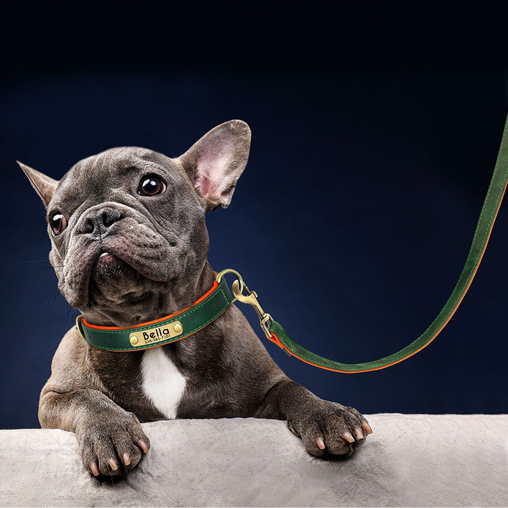 Conjunto Personalizado de Coleira e Guia de Couro para Cães Coleira de Couro Acolchoada Macia para Cães de Pequeno, Médio e Grande Porte com Placa de Identificação Grátis