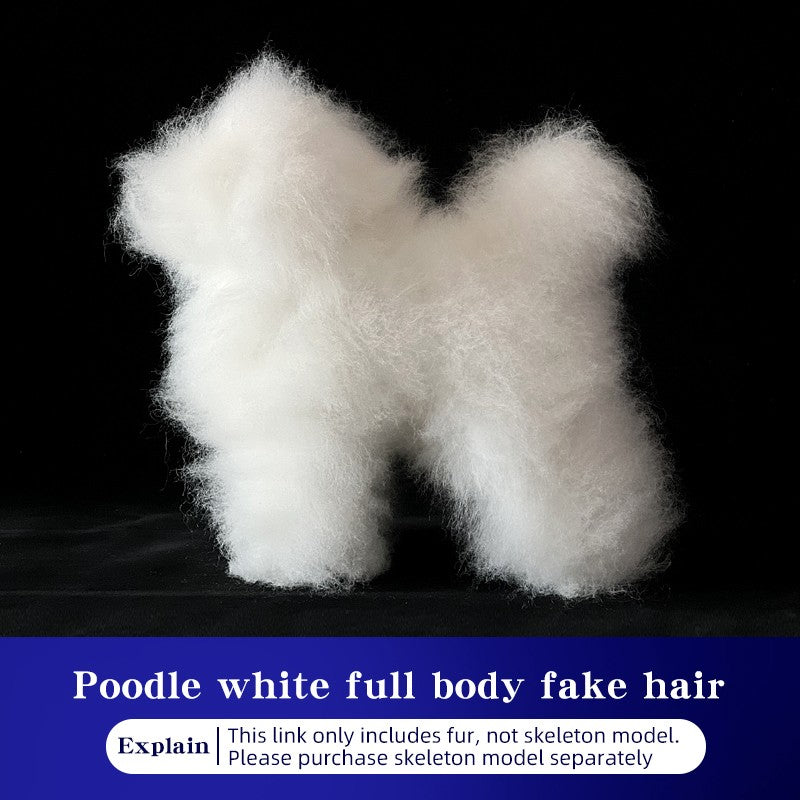 Simulador de pelos de animais de estimação beleza falsa esteticista praticando poodle padrão esqueleto de corpo inteiro modelo de cachorro para tosa