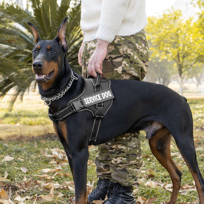 Personalized dog harness custom name tag doberman pinscher breathable adjustable pet harness suitable for medium and large dogs