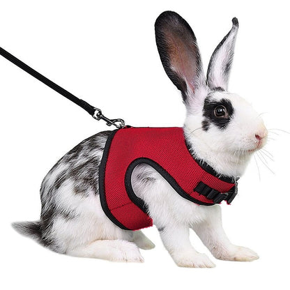 Conjunto de coleira e colete para coelhos, colete respirável para coelhos, furões, porquinhos-da-índia, esquilos, coleira macia e ajustável para animais de estimação pequenos