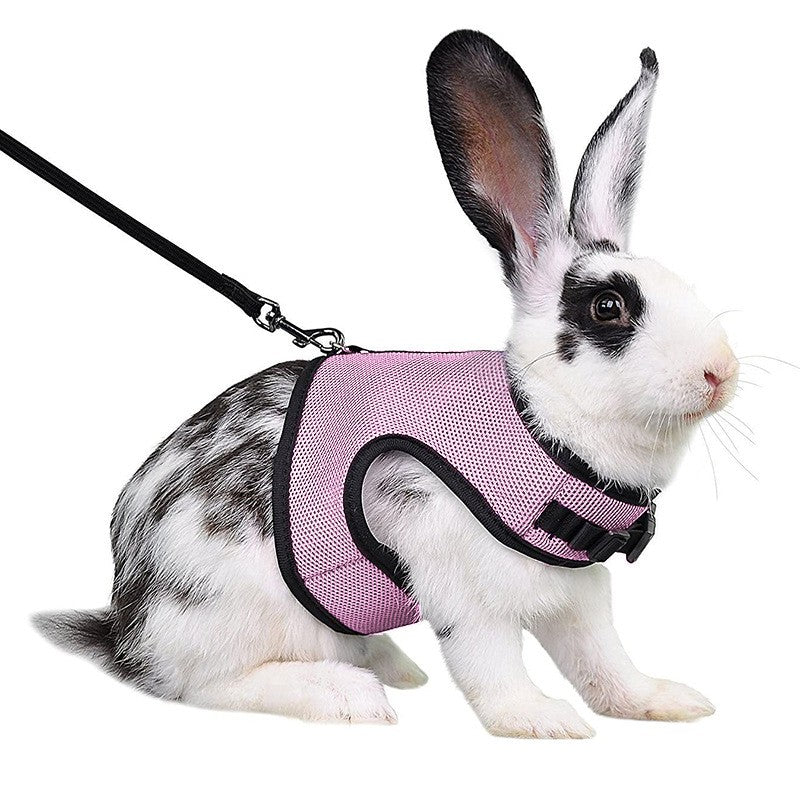 Arreio estilo colete para animais de estimação, respirável e estiloso, com alça macia ajustável e conjunto de coleira elástica, adequado para coelhos e gatos