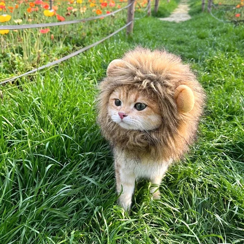Chapéu de Gato Bonito Gorro de Leão Elástico de Outono Inverno Chapéu para Animais de Estimação Acessórios para Fotos de Gatinhos Decoração Acessórios para Gatos