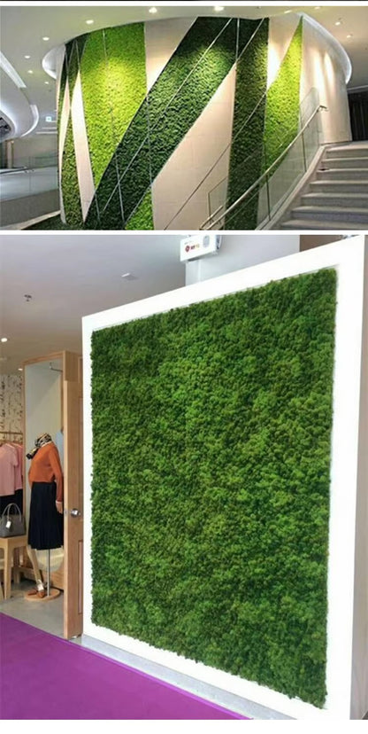 200/1000g Quality Artificial Green Plant Eternal Life Moss Fake Flower Moss Grass Home Living Decorative Wall DIY Micro Landscap