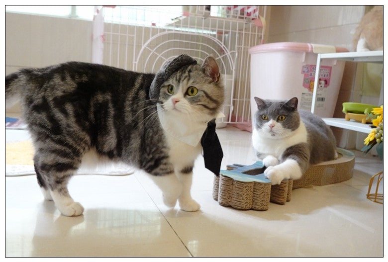 Chapéu Engraçado Para Gatos de Estimação, Boina, Gravata Borboleta, Fantasia de Banho, Gângster Bonito, Adereço de Foto, Fantasia de Halloween Para Animais de Estimação