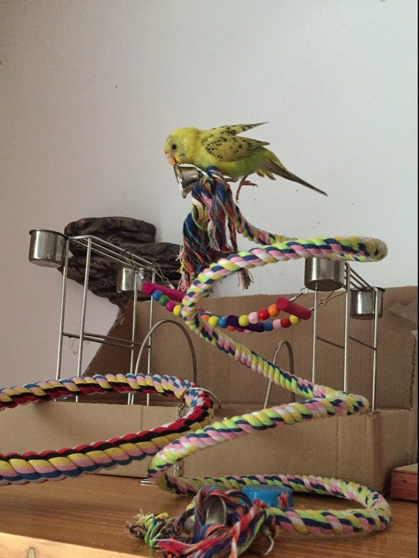 Novos Brinquedos Para Pássaros Papagaios de 160 cm de Comprimento Brinquedo Para Animais de Estimação Papagaio Corda Em Pé Decoração de Gaiola de Pássaros Brinquedo de Escalada de Papagaio Sino de Corda Para Gaiola de Pássaros
