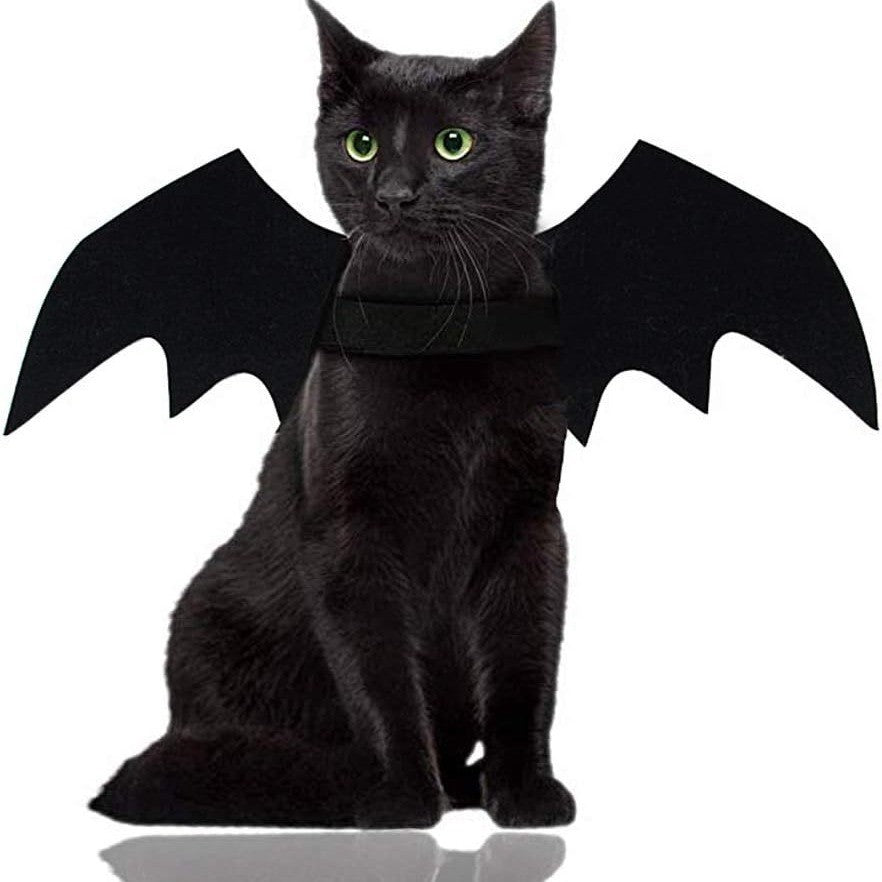 Atacado Fantasia de Cosplay de Gato Fofo Asas de Morcego Cinto de Segurança Role Playing Pet Gato Cachorro Decoração de Festa de Halloween Suprimentos