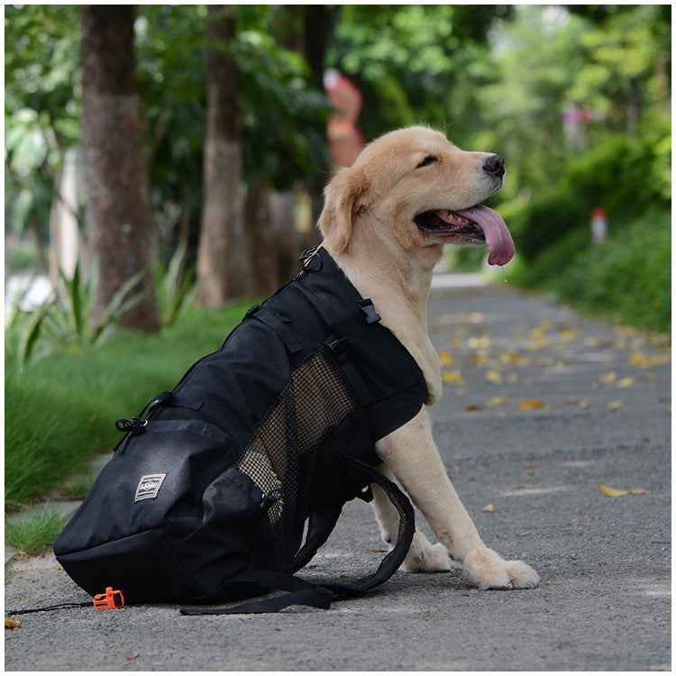 Mochila de Transporte para Cães de Estimação para Caminhada, Viagem, Ventilação Externa, Respirável, Bicicleta, Motocicleta, Esportes ao Ar Livre, Bolsa de Malha, Drop Shipping