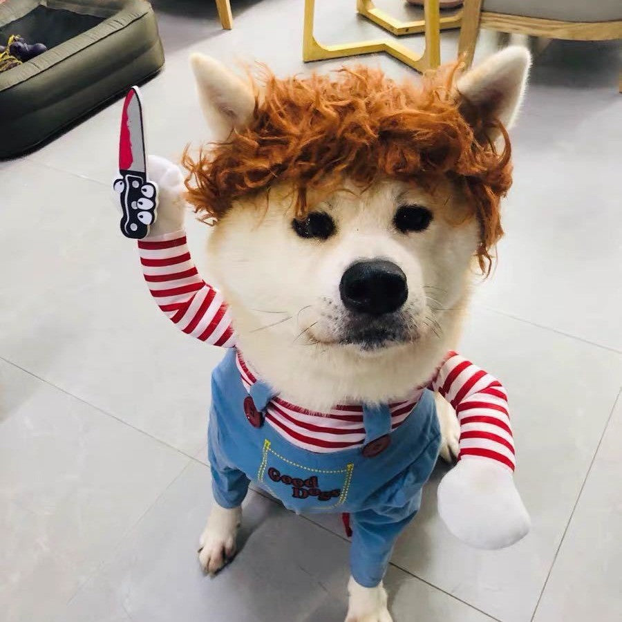 Fantasia de Halloween para Pets Vestido para Cães Pequenos e Médios – Roupa Divertida e Estilosa para Cães Gatos Brincarem com Roupas Engraçadas