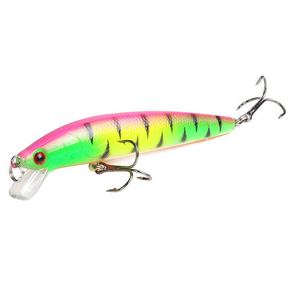 Long Tail Minnow Fishing Lure 10cm 9g Floating Hard Bait Artificial Wobbler Crankbait 3D Eye 10 Color Carp Perch Fishing Tackles