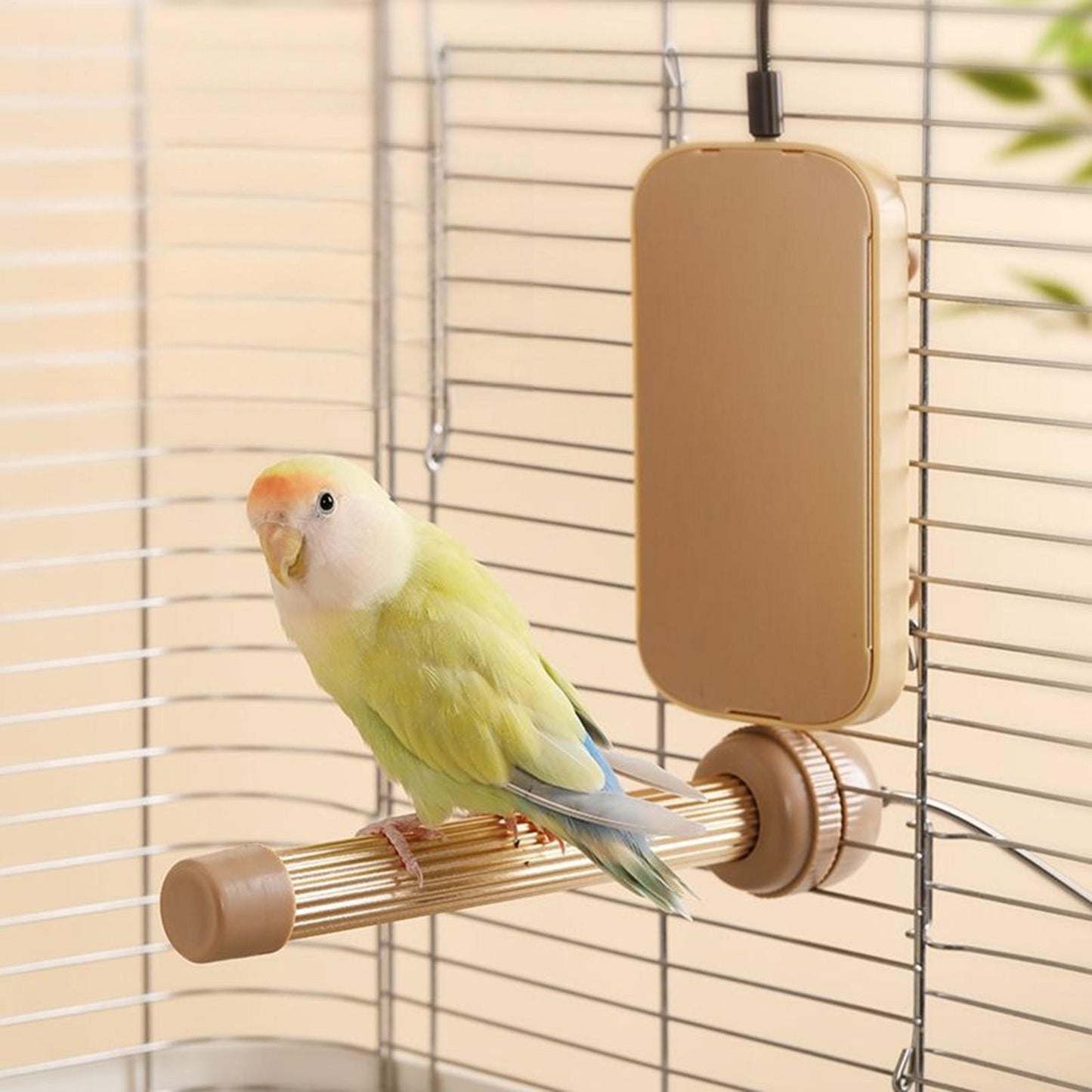 Poleiro de Pássaros Aquecido com Termostato Automático, Suporte Aquecedor Seguro com Design Anti-Mordida para Periquitos, Conures, Papagaios, Suprimentos para a Noite e Inverno