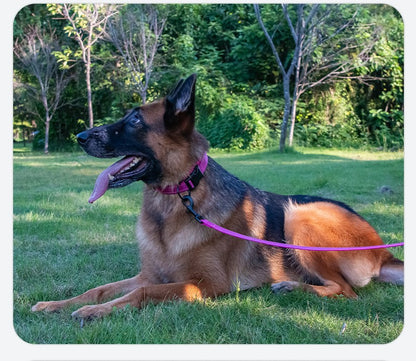 Coleiras para Cães Respiráveis Ajustáveis para Cães Grandes Médios Pequenos de Nylon