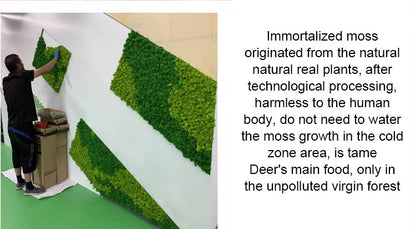 200/1000g Quality Artificial Green Plant Eternal Life Moss Fake Flower Moss Grass Home Living Decorative Wall DIY Micro Landscap