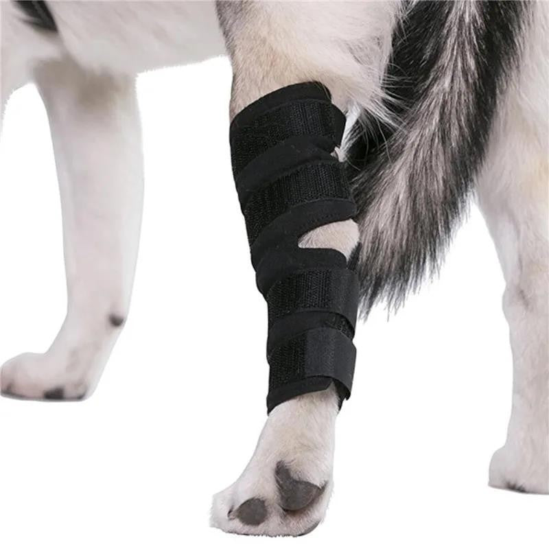 1 par de joelheiras de suporte para animais de estimação – Protetores de articulação de jarrete para recuperação de lesões e proteção da mobilidade de cães