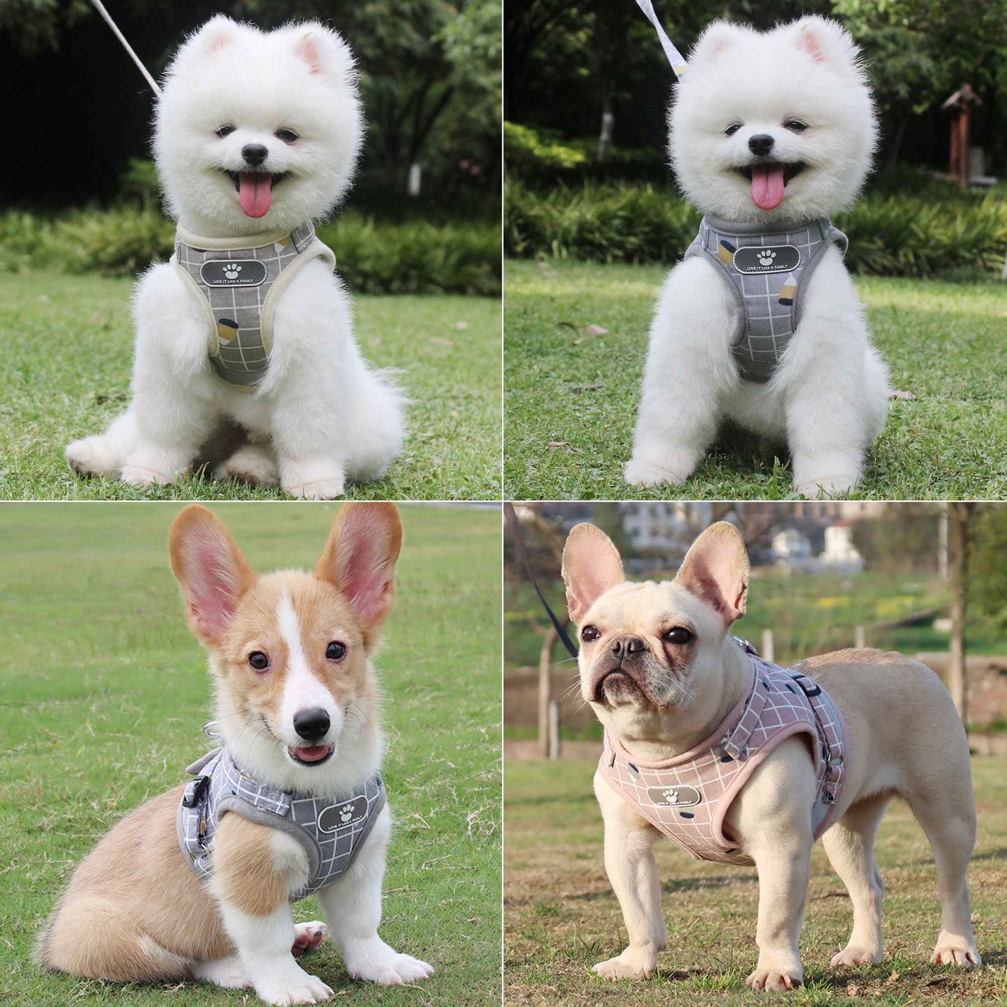 Coleira para cachorro com guia, coleira para gato, coleira para cachorro respirável, guia refletiva para cachorro, suprimentos para poodle