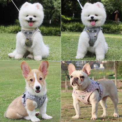Coleira para cachorro com guia, coleira para gato, coleira para cachorro respirável, guia refletiva para cachorro, suprimentos para poodle