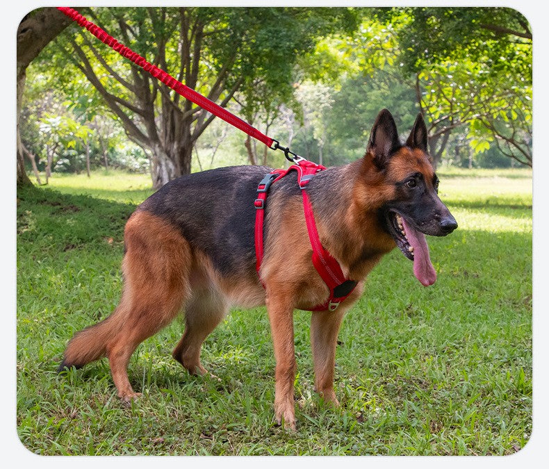 Coleiras e Guias para Cães Corda de Tração Dupla Durável para Cães Guia - Aumente a Segurança e o Controle