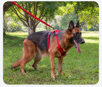 Coleiras e Guias para Cães Corda de Tração Dupla Durável para Cães Guia - Aumente a Segurança e o Controle