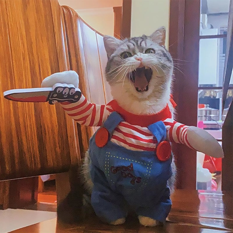 Fantasia de Halloween para Cães e Gatos Pequenos e Médios, Roupa Engraçada de Transformação Animal para Cães e Gatos, para Festas e Cosplay