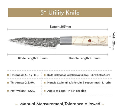 1-6 PCS Kitchen Knife 67 Layers Damascus Steel 10Cr15CoMoV core Kitchen Chef Slicing Utility Paring Knife Set mesh resin Handle