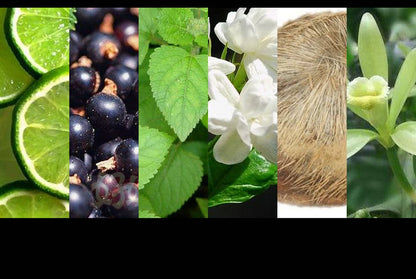 High Quality Perfumes Luxury Brand Unisex Perfume Spray 100ML Women Floral Scent Eau De Parfum Men Cologne Lasting Fragrance