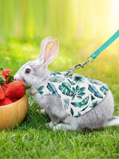 A Set of Stylish Printed Breathable Pet Rabbit Chest and Back for Outdoor Use