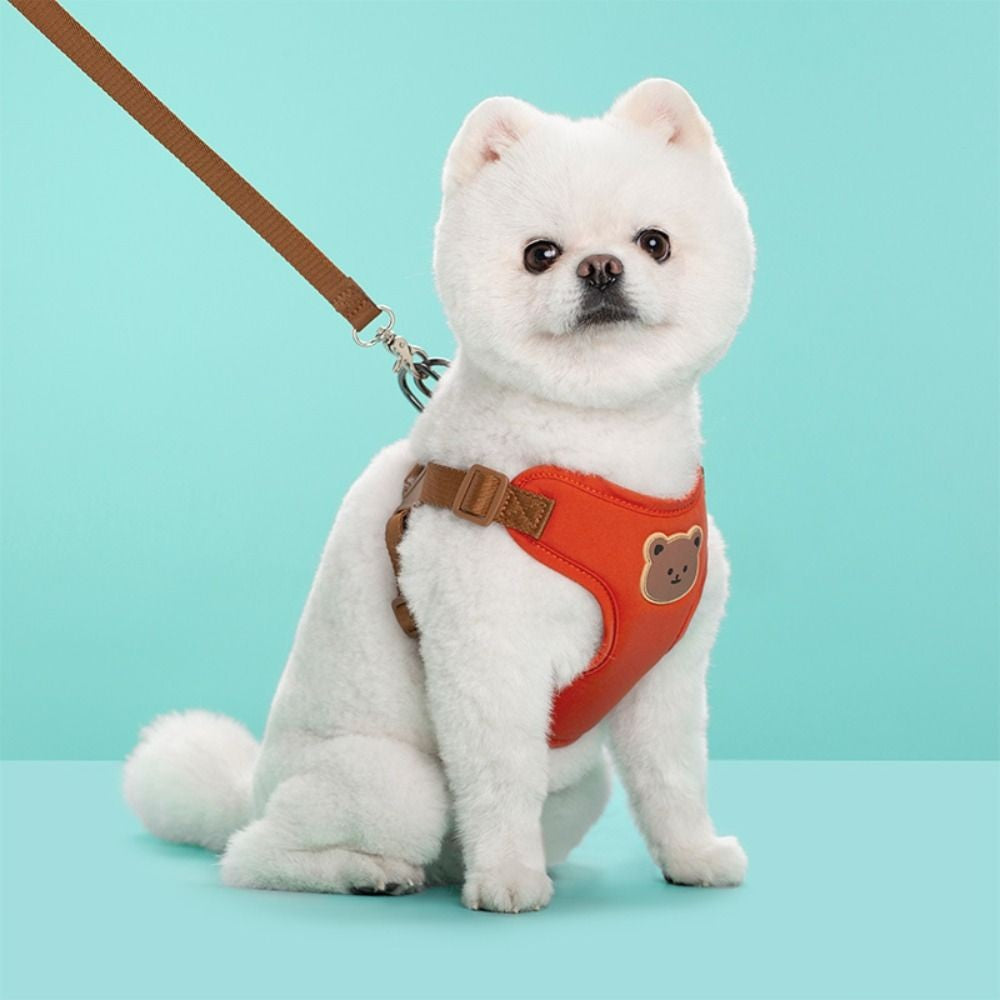 Creative Cute Pet Harness Leash Anti-Escape Adjustable Cat Chest Strap Vest No Pull Dog Collar Harness For Small Medium Dog Cat
