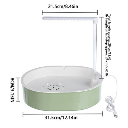 Acessório de Banheira para Papagaio, Caixa de Banho para Papagaio, Chuveiro para Pássaros, Banheira para Conure, Periquito, Papagaio-Cinza-Africano, Jardim Externo