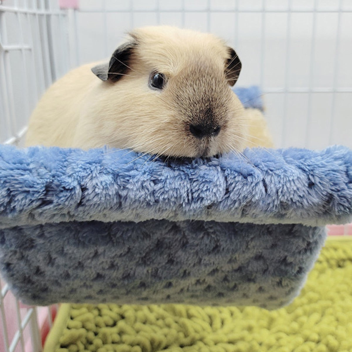 Cobaia Hamster Quente Rede Mel Canguru Esquilo Ninho Suspenso Cama Urso Dourado Chinchiila Brinquedo De Estimação Saltador