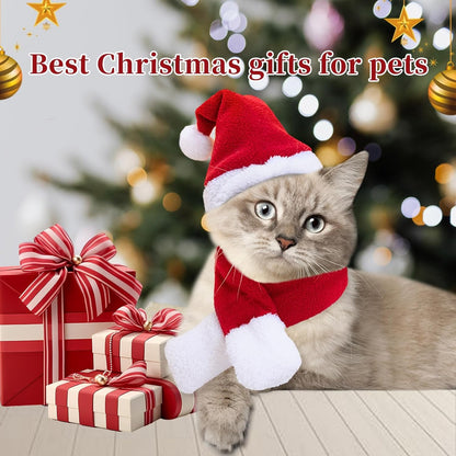 Conjunto de Fantasia de Natal para Pets, Gorro e Cachecol Ajustáveis de Papai Noel para Cães Pequenos, Gatos e Filhotes, Acessórios para Fotos de Festas